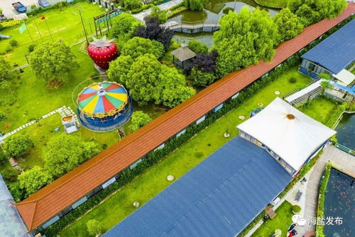 美海鹽鄉村旅游精品線榮登省級榜單，繪就詩畫田園新篇章