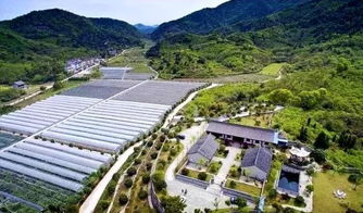 上虞五處田園榮登浙江最美榜單，鄉村旅游線路煥發新魅力